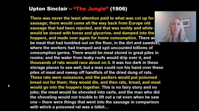 The Political Impact of the Progressive Movement (1890-1920) смотреть онлайн