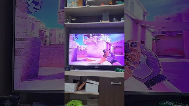 Дуэль кози против евжении