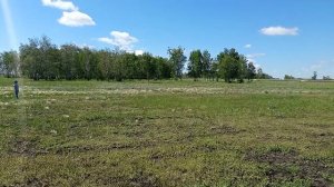 Играем с братом на природе