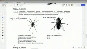 11 задание ОГЭ по биологии