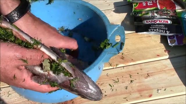 копчение форели смотреть онлайн