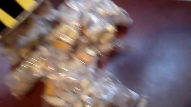 Animal Pak Opening смотреть онлайн