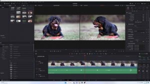 DaVinci Resolve Slow-Motion Tutorial | Optical Flow (FREE VERSION)
