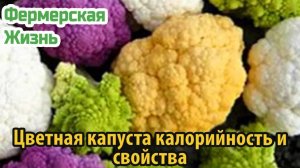 Цветная капуста калорийность и свойства