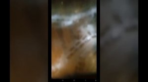 Запотевшие окна на балконе   много воды!!!!!!!