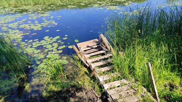 Как мы обустроили лагерь, ловим рыбу, сходили в магазин 2022 часть 2 смотреть онлайн