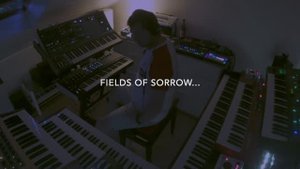 Fields of Sorrow....