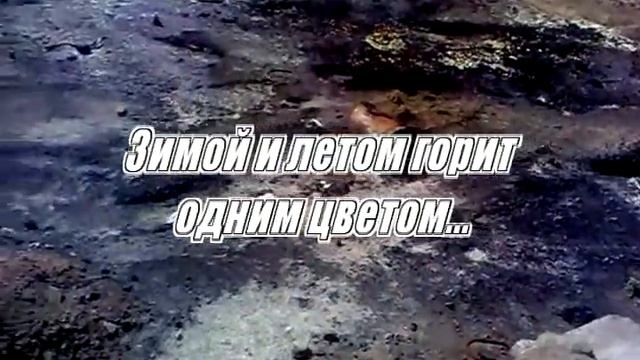 Зимой и летом горит одним цветом... смотреть онлайн
