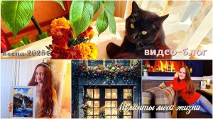 Видео-блог, весна 2025г.