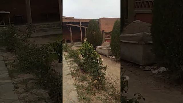 26.08.20 ж.Бекбүбү Асанкулова Жалал-Абад облу-н Аксы район-гы Сафед Буланда зыяратта . смотреть онлайн