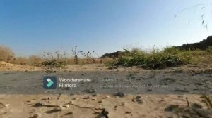 оливинские каменоломни/Крым