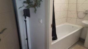 сосновый бор