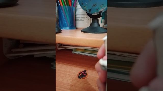 бизон, морской леопард, камбала смотреть онлайн