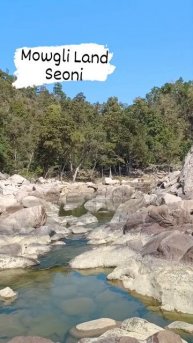 😱Mowgli Land, seoni #viral #youtube #youtubeshorts #travel #shortsvideo #trending #shortsvideo