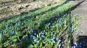 Год без работы!.mp4