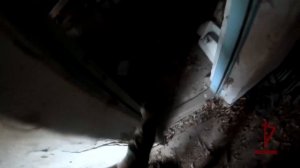 604-й Краснознамённый центр специального назначения «Витязь»