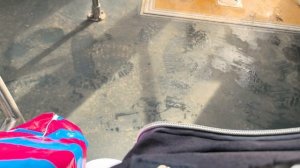 Пришлось ехать в город за продуктами.