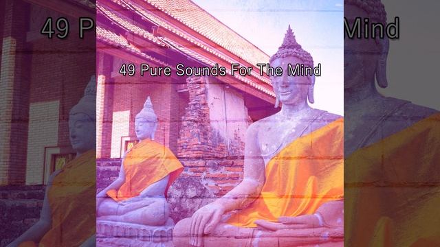 Clever Soul смотреть онлайн