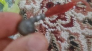 обзор на снасти и удочки