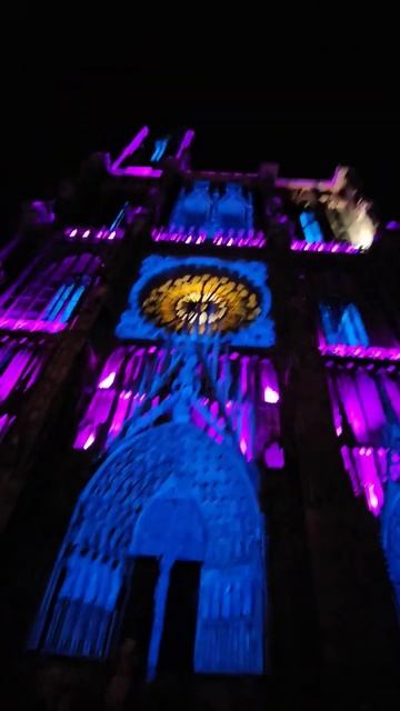 Illuminated Cathedral Strasbourg #shorts #magic смотреть онлайн