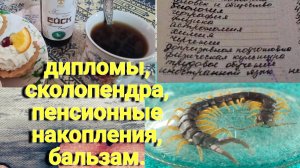 Ейск-Александровка. Мои пенсионные накопления. Наши дипломы. Сколопендра в доме. Бальзам Ейск.