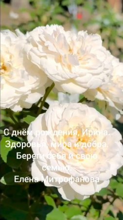 С днём рождения,Ирина.