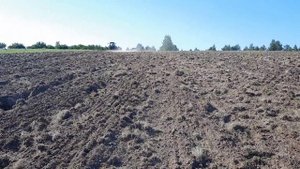 Ввод земель в сельхоз оборот | День 3