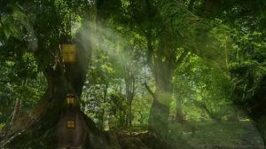 Сатсанг √ 30 , Роберт Адамс, Одно я, одно сознание.