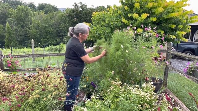 Flower Bouquets Senior Style! 🌸: Flowers for the Seniors 💚// Gardening On Taylor Mountain смотреть онлайн