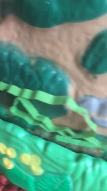 Ladybird Beetle and Caterpillar larva observation #2 смотреть онлайн