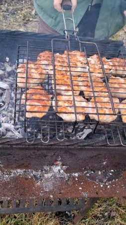 Куриная грудка в беконе на мангале 👌