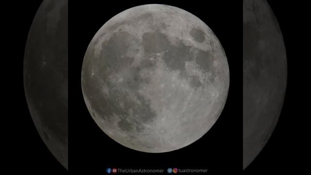 Lunar Eclipse Telescope Timelapse November 2022 смотреть онлайн