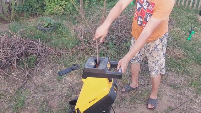 ДНК. Нужен ли садовый измельчитель...Не знаю...