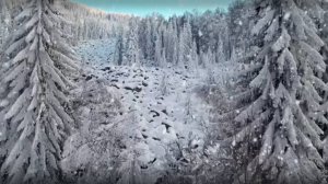 зима