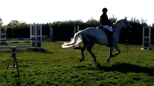 2015 June 07th Lily and Lily-Ann Tally Ho Show 85 смотреть онлайн