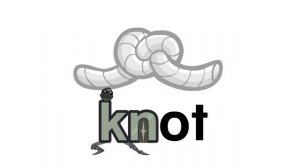 Meet the Phonics Digraphs - kn