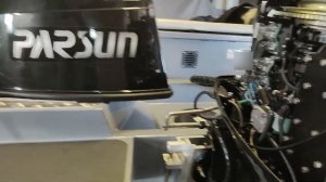 Волжанка 46 FISH и Parsun 60 2-х тактный/2 stroke