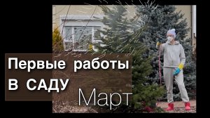 Осмотр растений ОБРЕЗКА обработка СНЯТИЕ УКРЫТИЙ уборка Дневник садовода