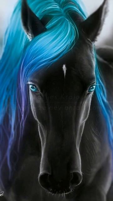 миры лошадей