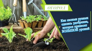 Как самостоятельно приготовить удобрение, которое обеспечит богатый урожай.