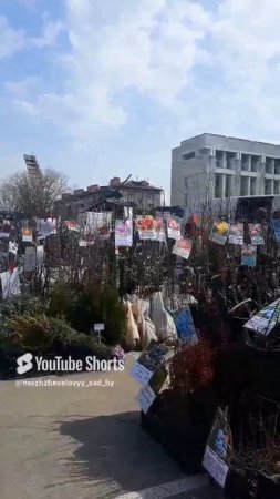 ВРЕМЯ ЯРМАРОК В САМОМ РАЗГАРЕ. 8.04.2023г.