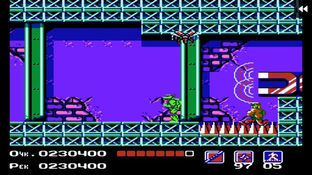 Teenage Mutant Ninja Turtles (NES)