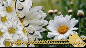 ГОРИ СВЕЧА...