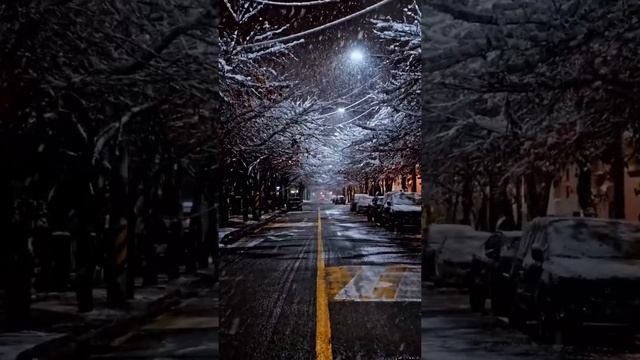 61  Nek - Se una regola видеозалипалка