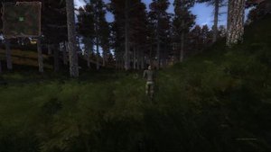 Найти пропавшего товарища в лесу. Прохождение на мастере STALKER Lost Alpha.