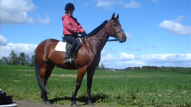 Saknar dig, Phoenix. смотреть онлайн