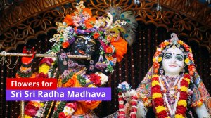 Flowers_for_Sri_Sri_Radha_Madhava_ENG
