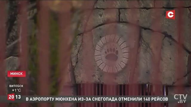 Медведь Тристан - "проснулся"... смотреть онлайн