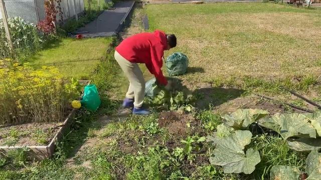 СХОДИЛИ В ПОЛИКЛИНИКУ// ВКУСНО ГОТОВИМ РЕЦЕПТ ТЕСТА// УБОРКА ОГОРОДА// ПОКРАСИЛА ВОЛОСЫ смотреть онлайн