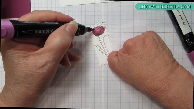 Surprise Tri Fold смотреть онлайн